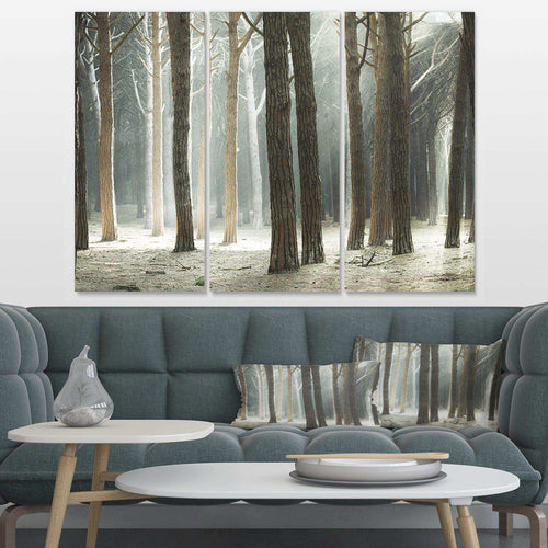 Maritime Pine Tree Forest with Rays Multi-Panels