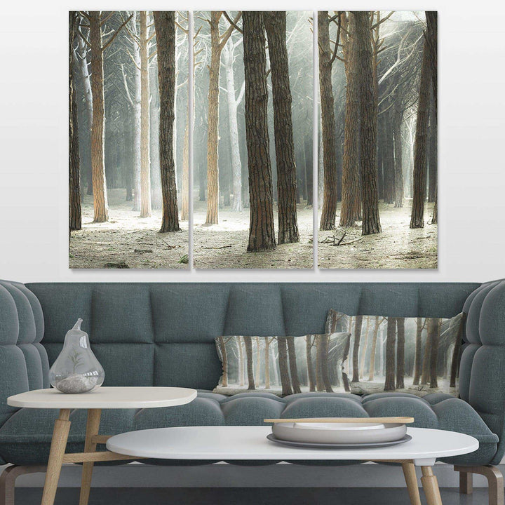 Maritime Pine Tree Forest with Rays Multi-Panels