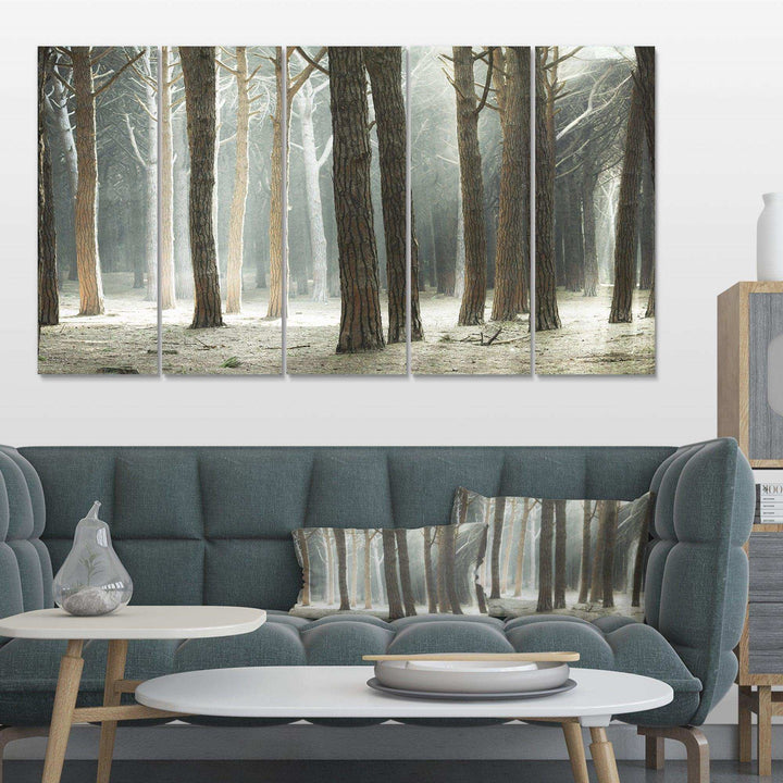 Maritime Pine Tree Forest with Rays Multi-Panels