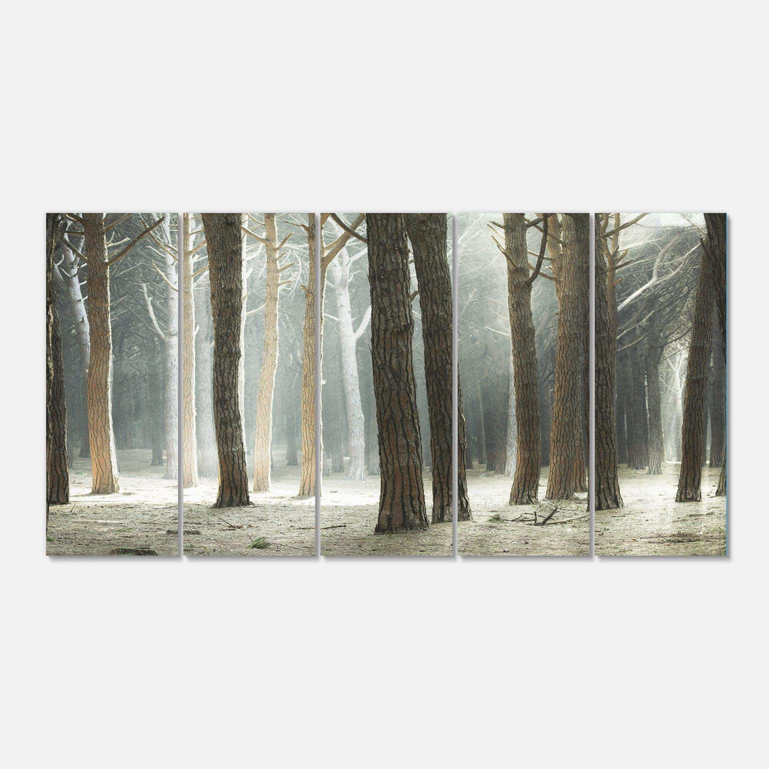 Maritime Pine Tree Forest with Rays Multi-Panels