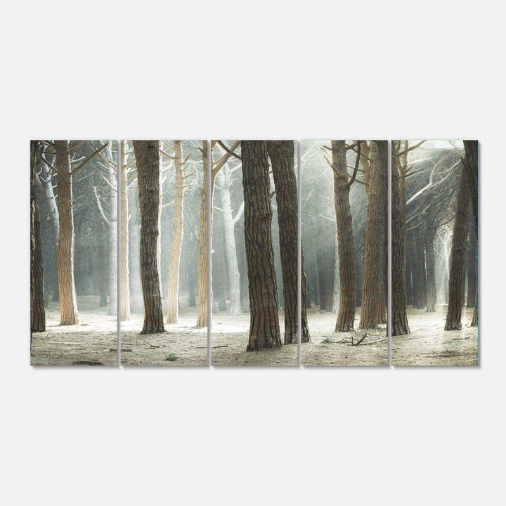 Maritime Pine Tree Forest with Rays Multi-Panels