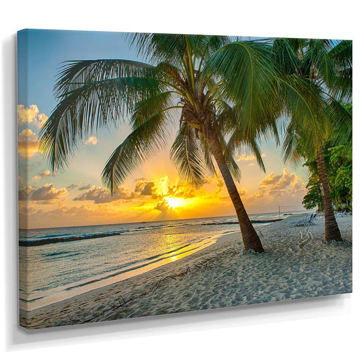 Beach in Caribbean Island of Barbados