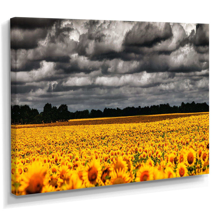 Van Gogh Summer with Clouds