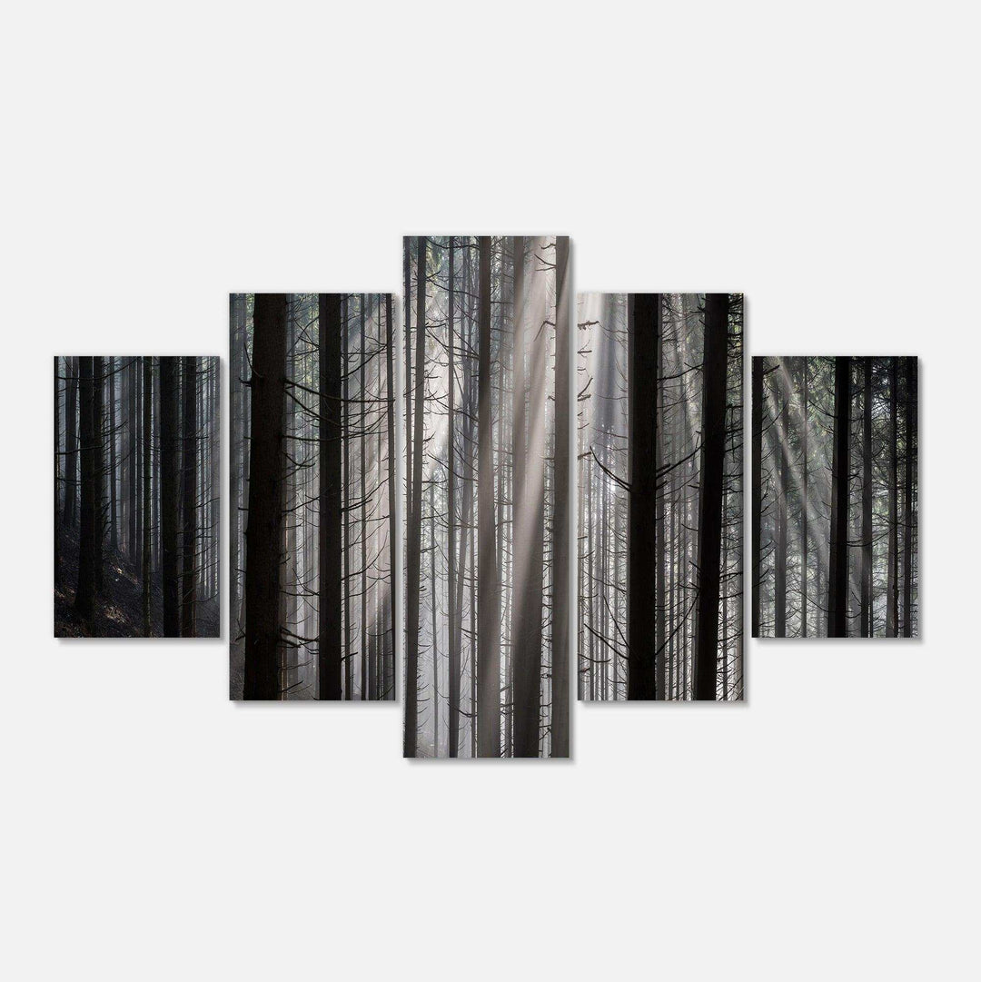 Sunbeams Peeking Through Dark Forest Multi-Panels