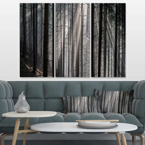 Sunbeams Peeking Through Dark Forest Multi-Panels