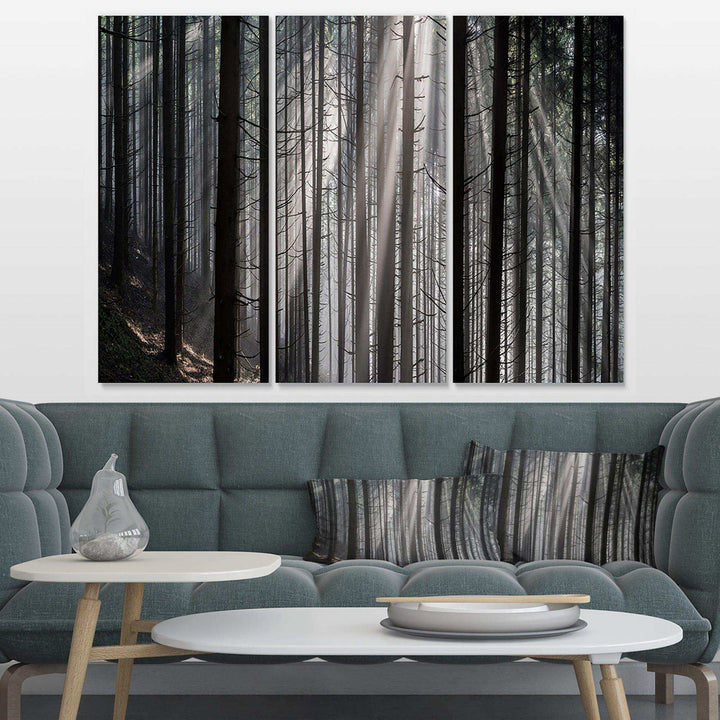 Sunbeams Peeking Through Dark Forest Multi-Panels