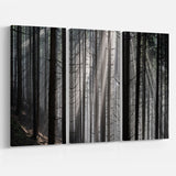 Sunbeams Peeking Through Dark Forest Multi-Panels