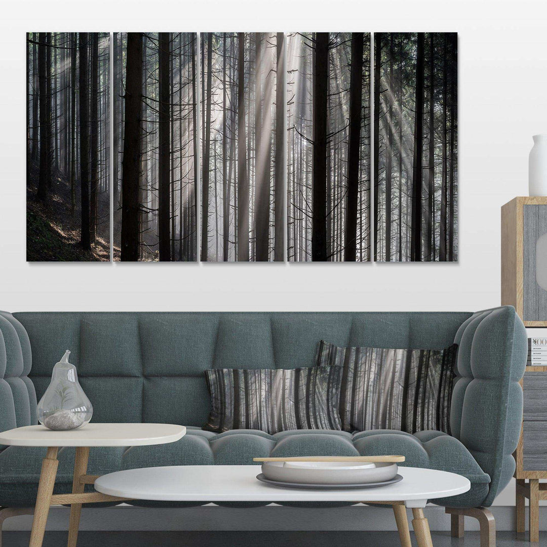 Sunbeams Peeking Through Dark Forest Multi-Panels
