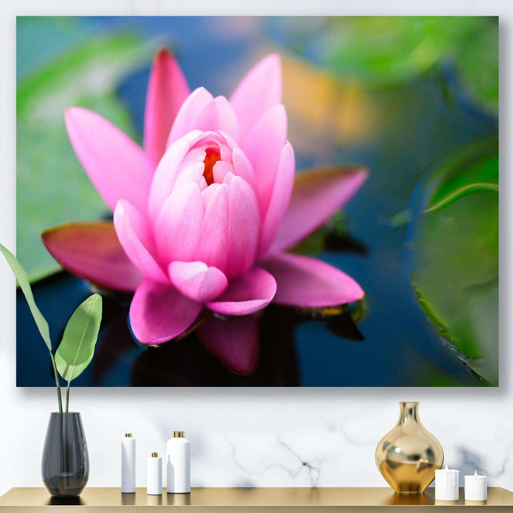 Large Lotus Flower in the Pond