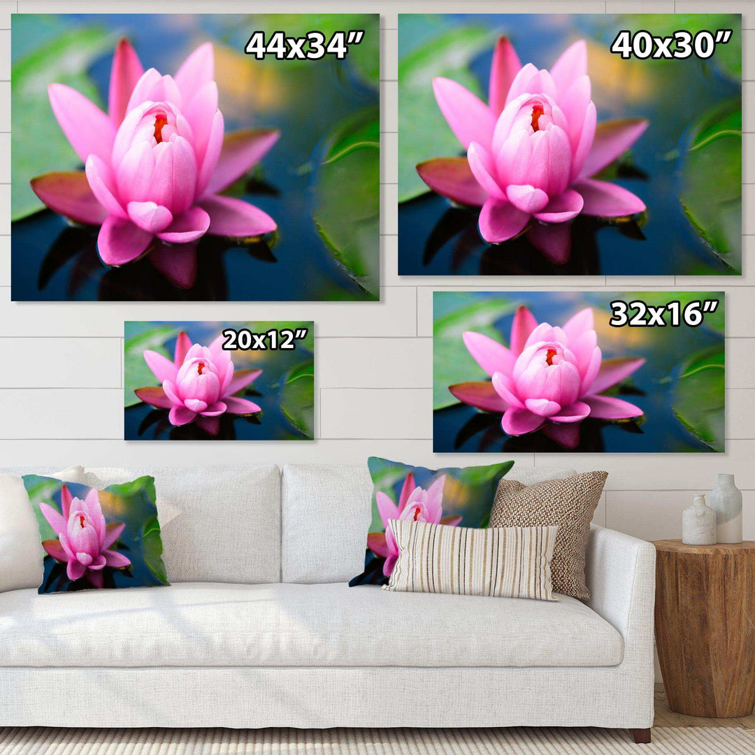 Large Lotus Flower in the Pond