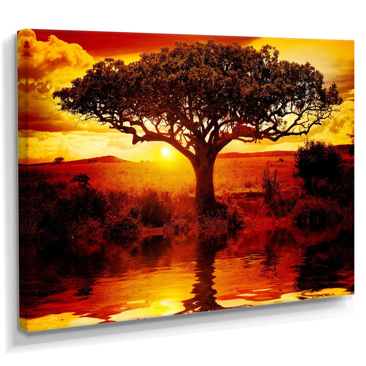 Lonely Tree in African Sunset