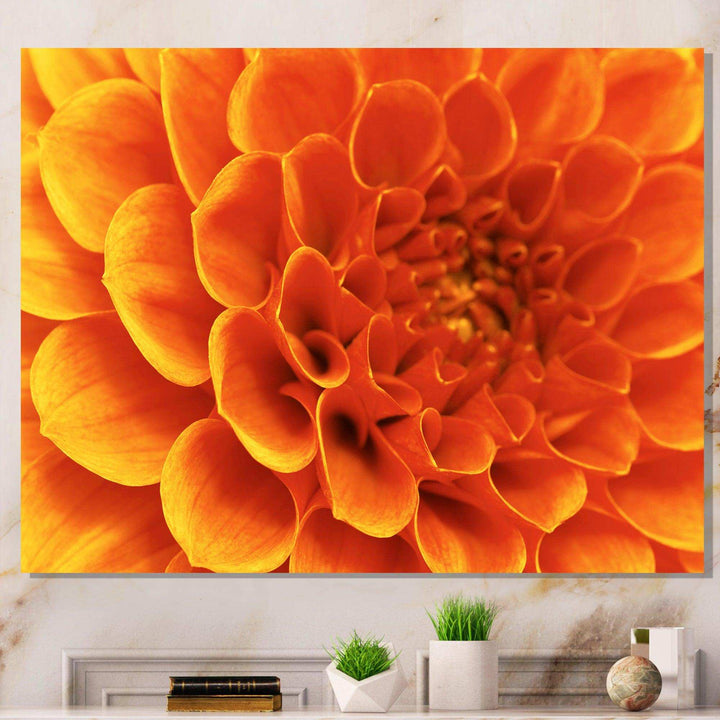 Large Orange Flower and Petals