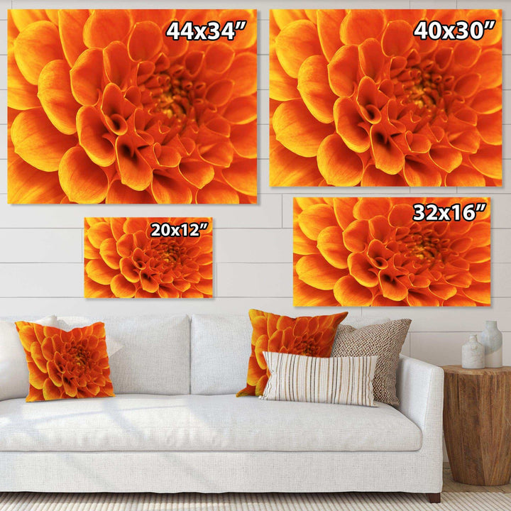 Large Orange Flower and Petals