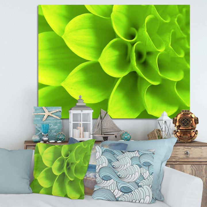 Bright Green Flower Petals
