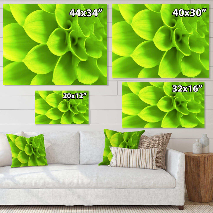 Bright Green Flower Petals