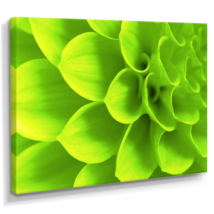Bright Green Flower Petals
