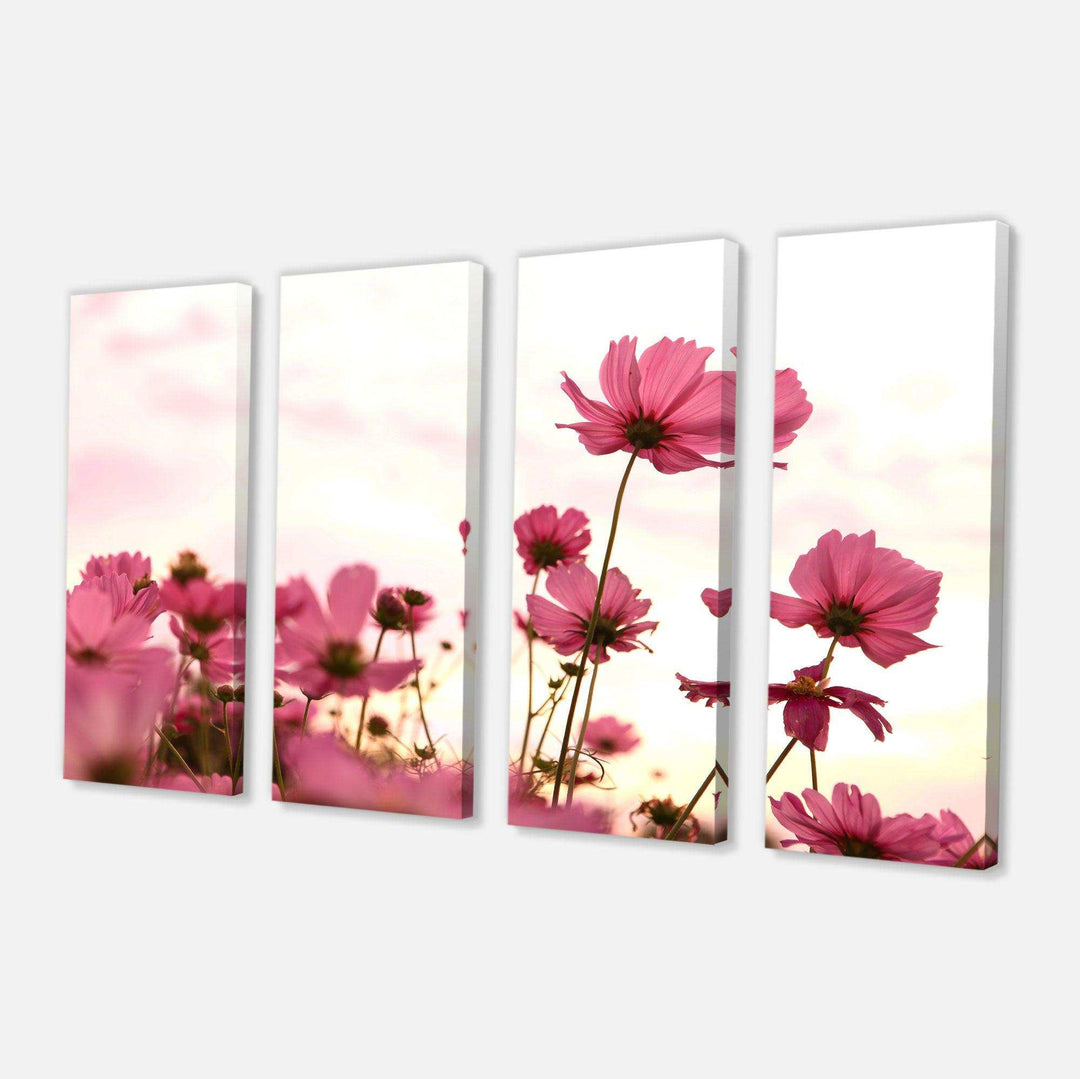 Cosmos Flowers Meadow At Sunset Multi-Panels