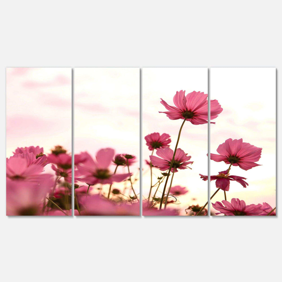 Cosmos Flowers Meadow At Sunset Multi-Panels