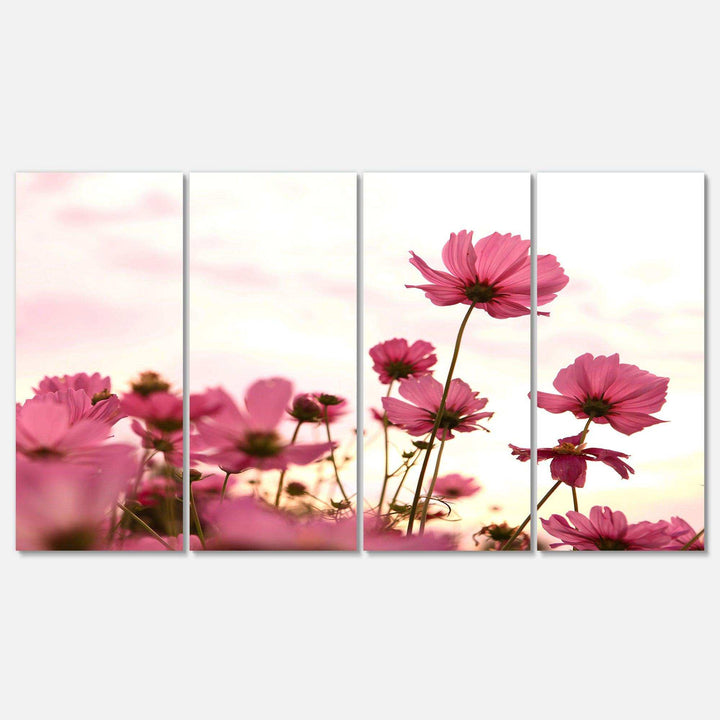 Cosmos Flowers Meadow At Sunset Multi-Panels