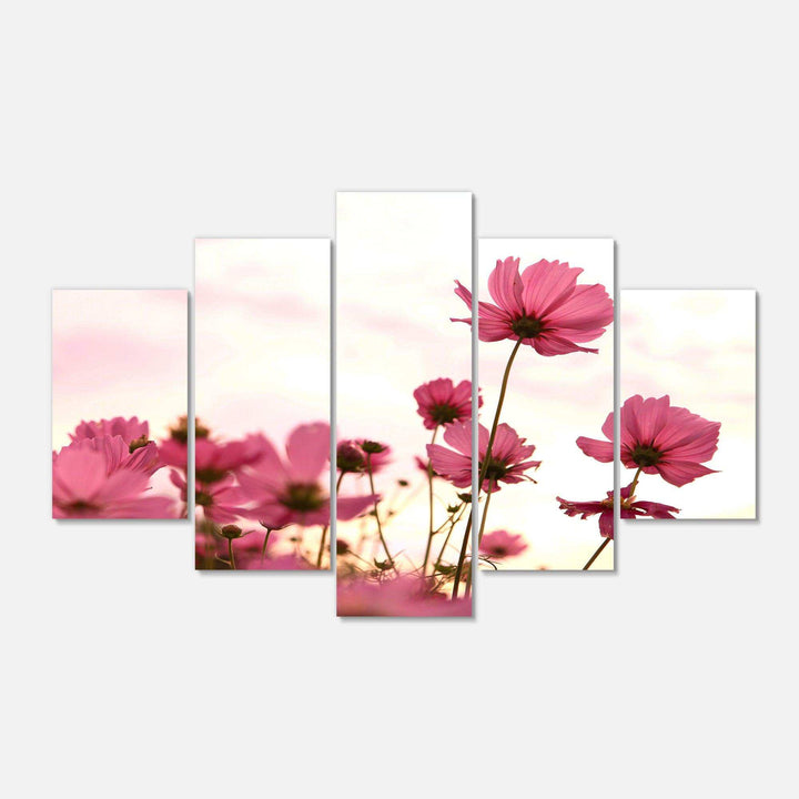 Cosmos Flowers Meadow At Sunset Multi-Panels