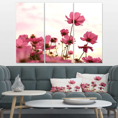 Cosmos Flowers Meadow At Sunset Multi-Panels