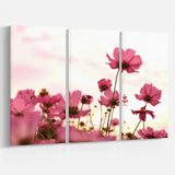 Cosmos Flowers Meadow At Sunset Multi-Panels