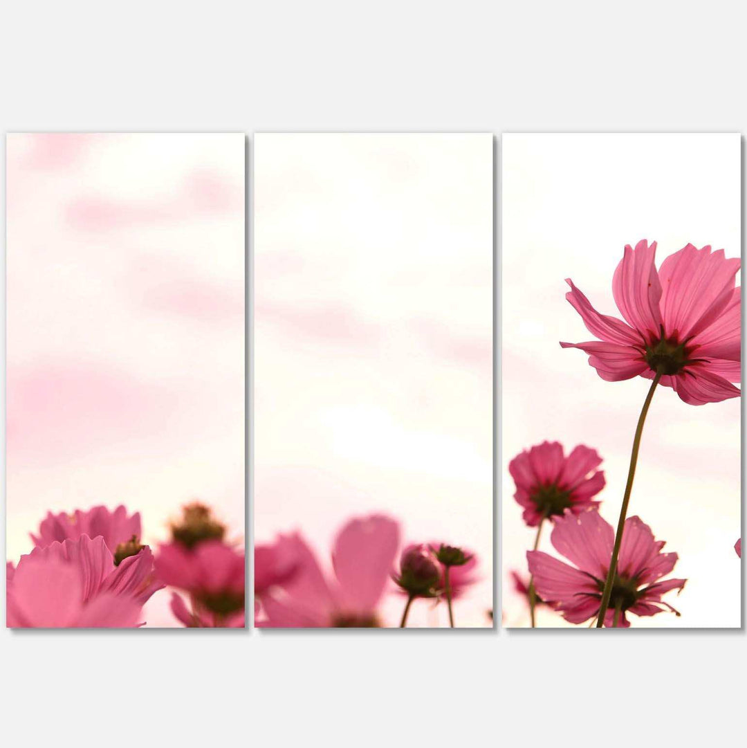Cosmos Flowers Meadow At Sunset Multi-Panels