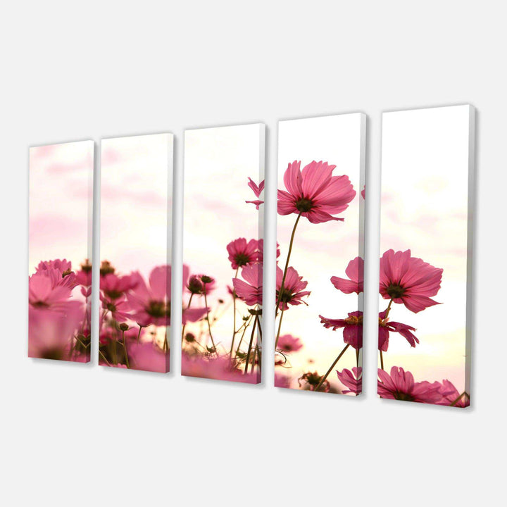 Cosmos Flowers Meadow At Sunset Multi-Panels
