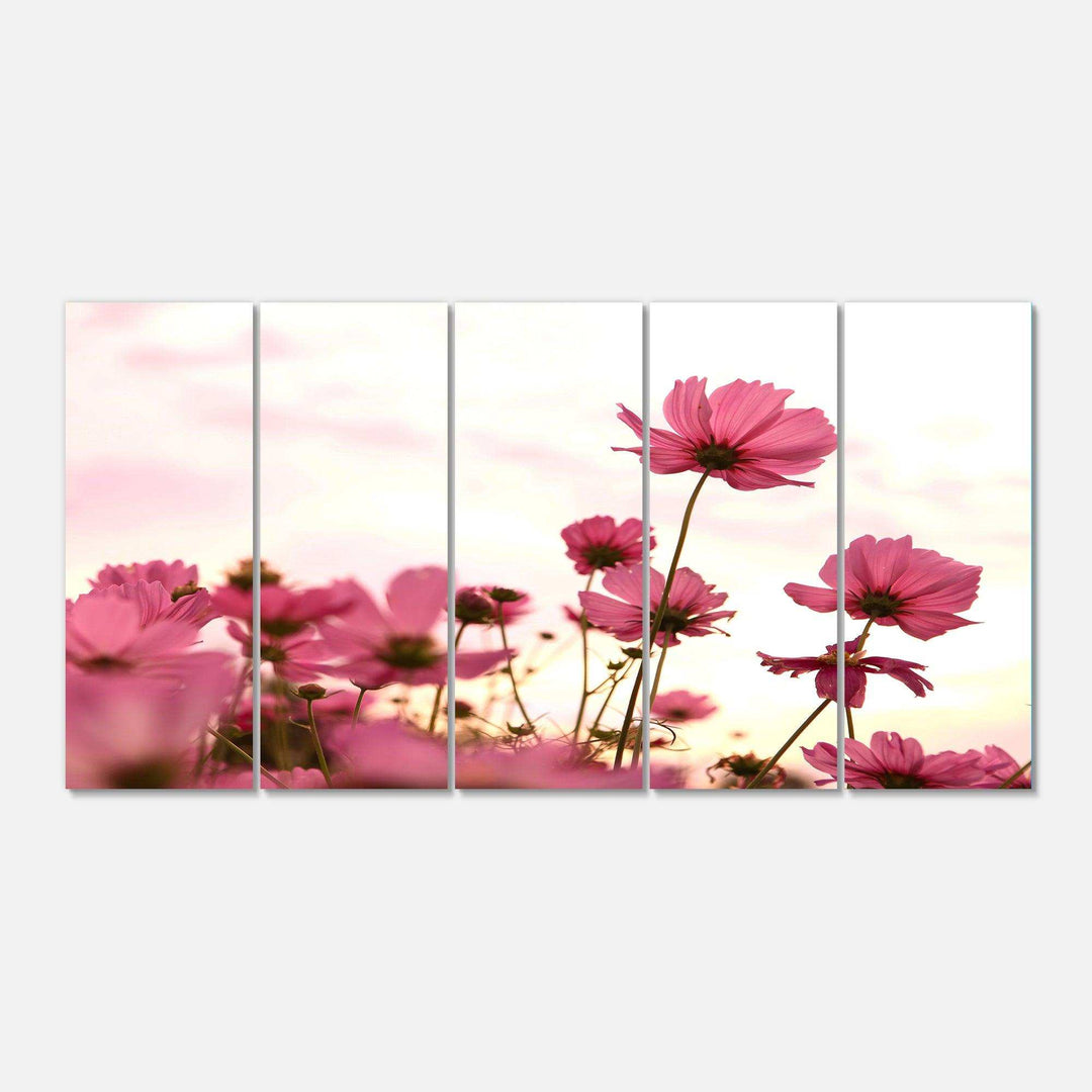 Cosmos Flowers Meadow At Sunset Multi-Panels