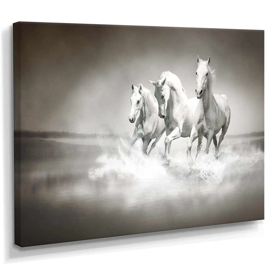 Horses Running Through Water