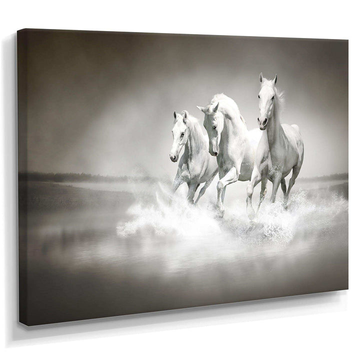 Horses Running Through Water