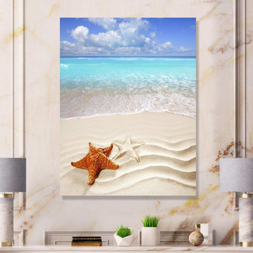 Brown Starfish on Caribbean Beach