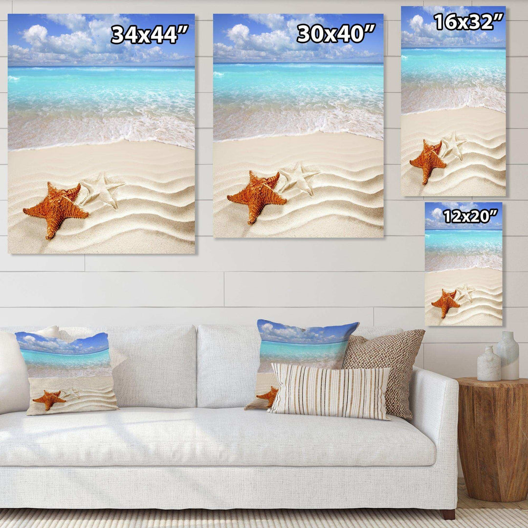 Brown Starfish on Caribbean Beach