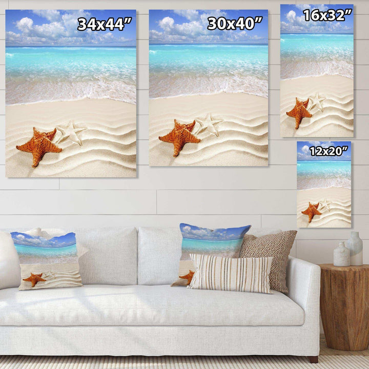 Brown Starfish on Caribbean Beach
