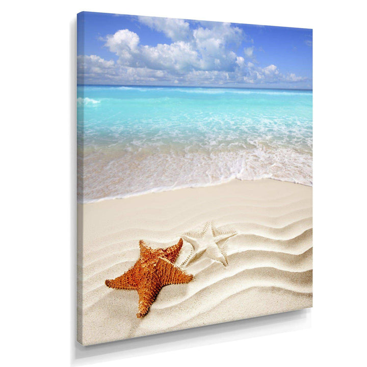 Brown Starfish on Caribbean Beach