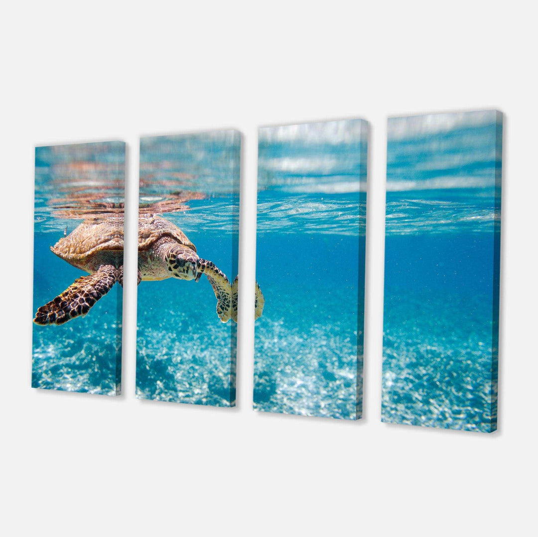 Large Hawksbill Sea Turtle Multi-Panels