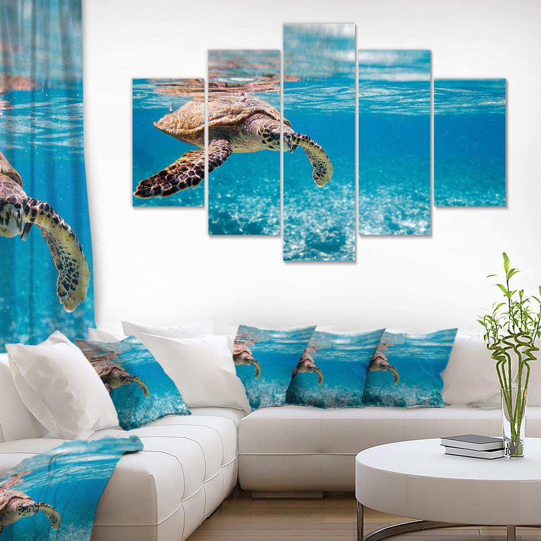 Large Hawksbill Sea Turtle Multi-Panels
