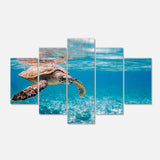 Large Hawksbill Sea Turtle Multi-Panels