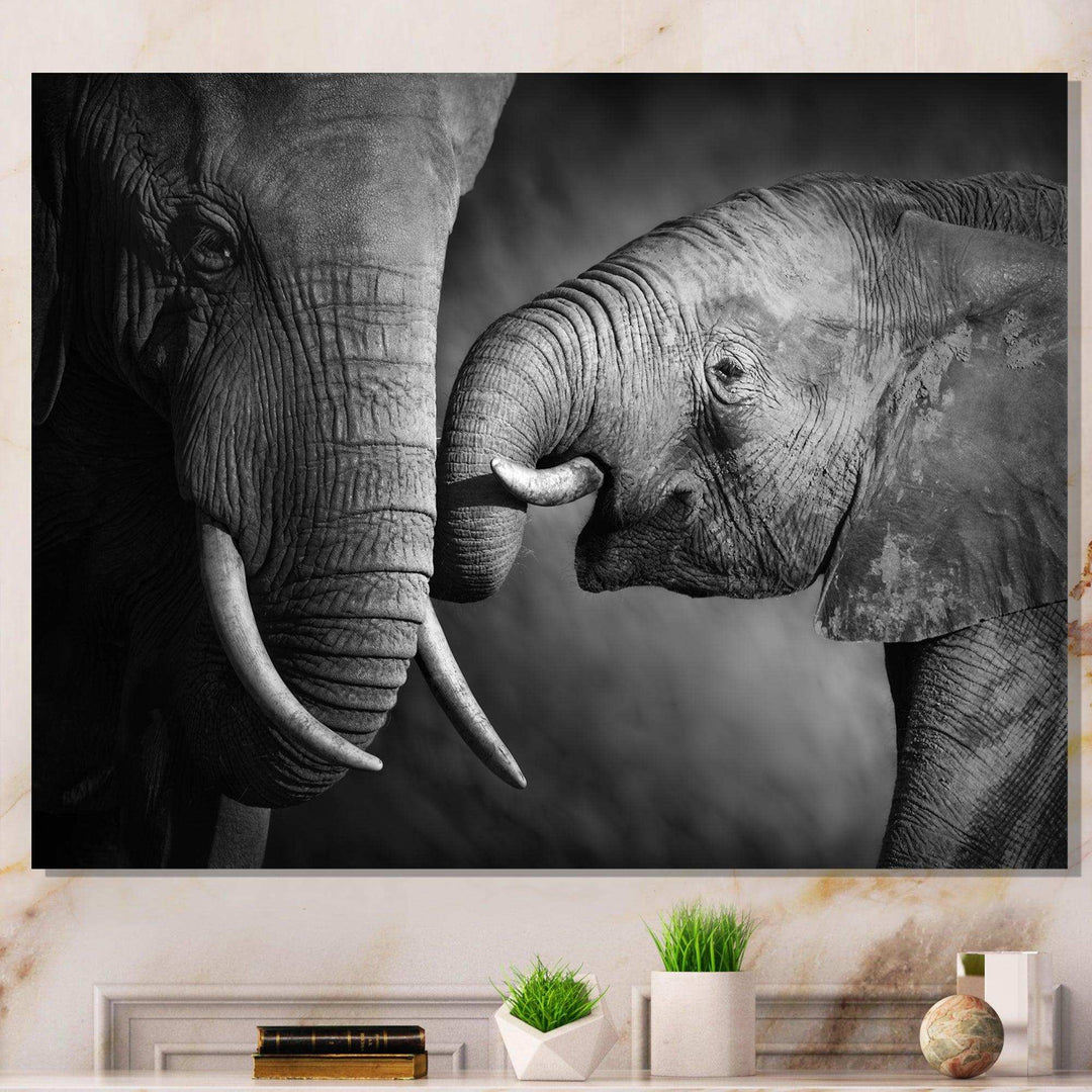 Elephants Showing Affection