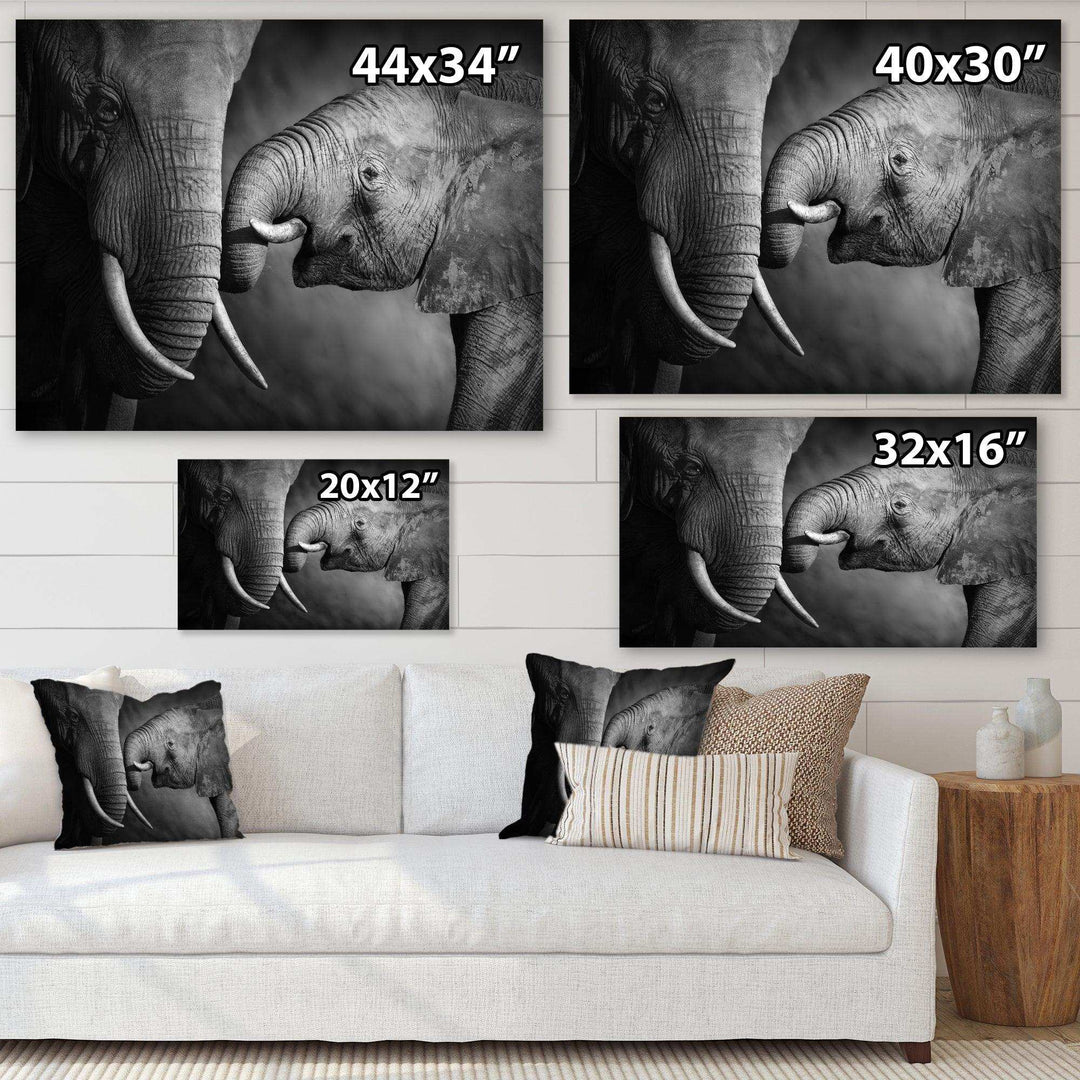 Elephants Showing Affection