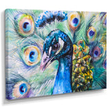 Beautiful Peacock Watercolor