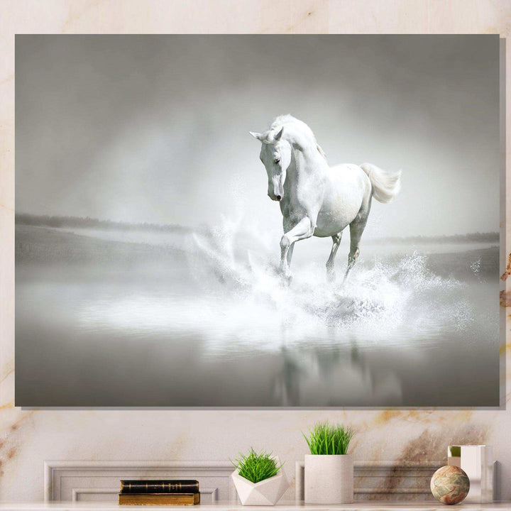 White Horse Running in Water