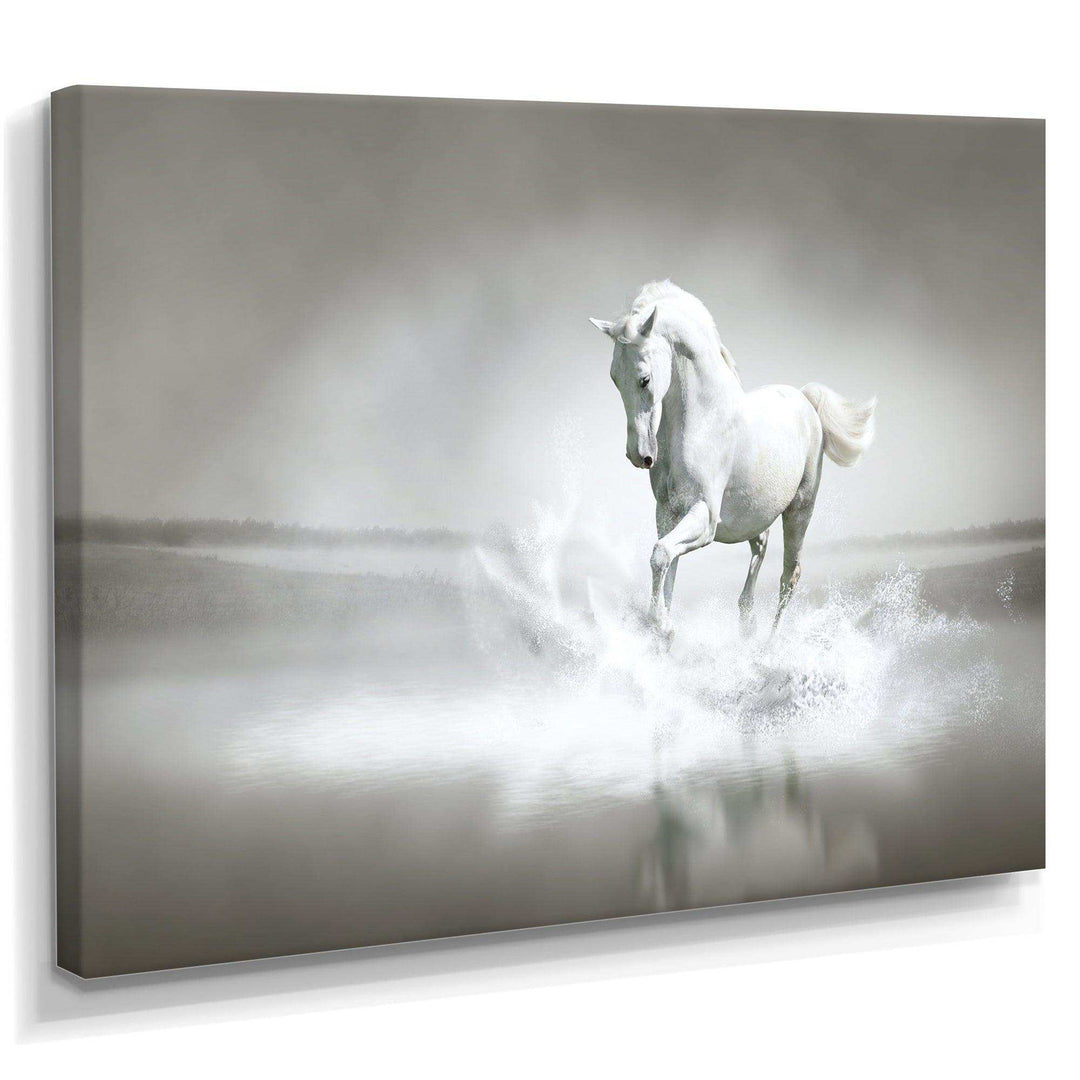 White Horse Running in Water