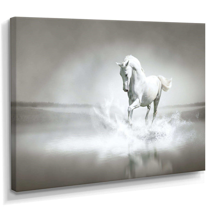 White Horse Running in Water