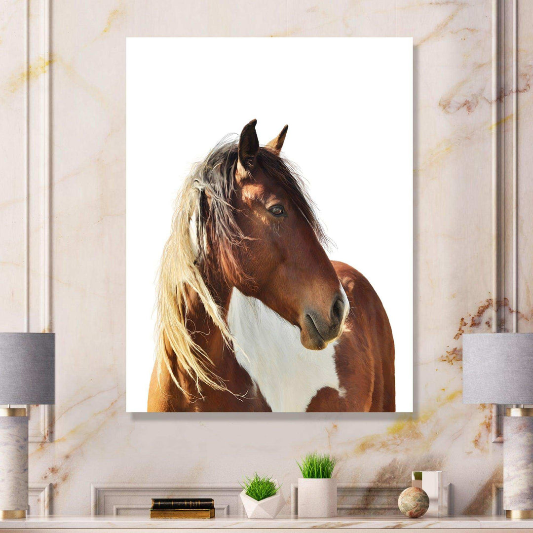 Large Brown Horse
