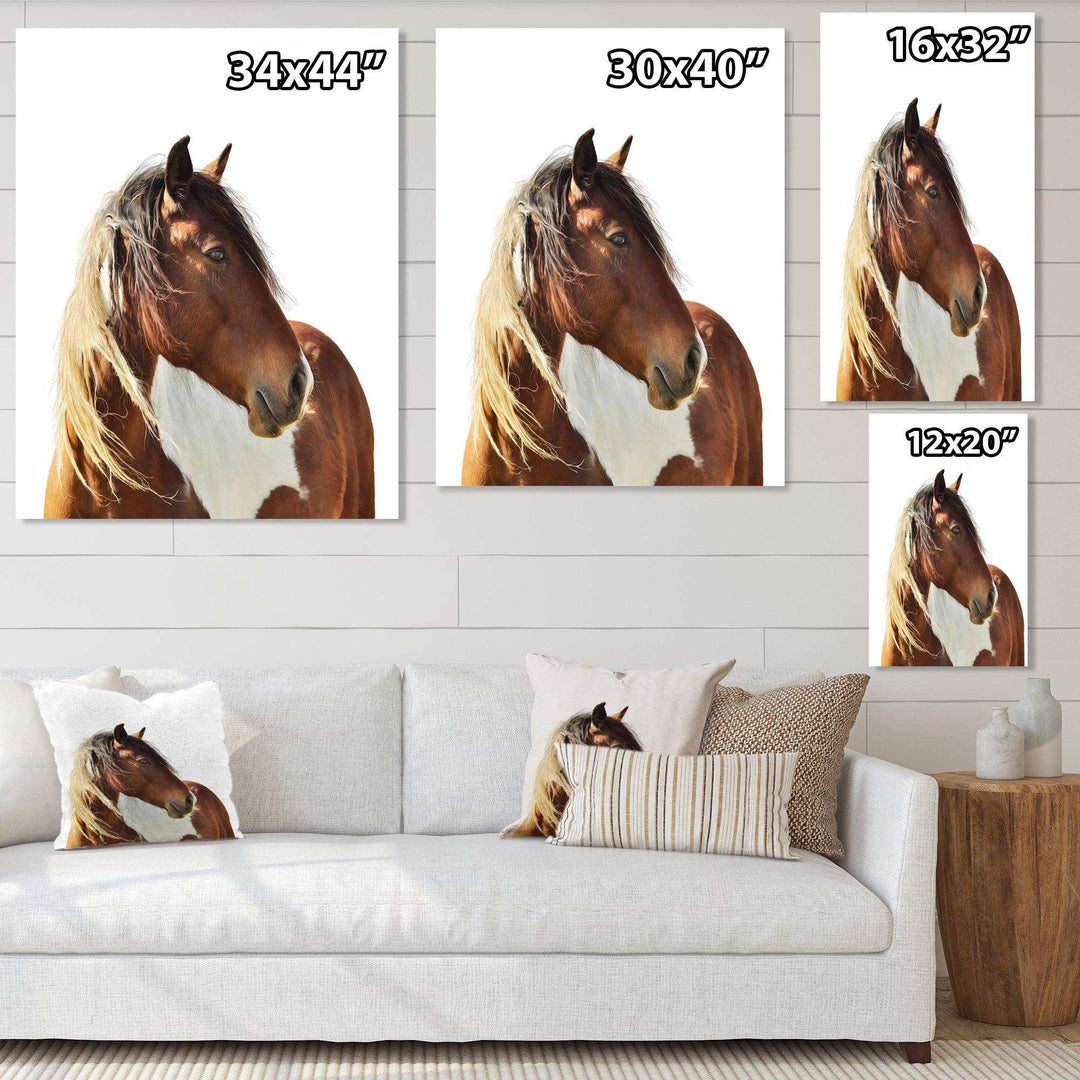 Large Brown Horse