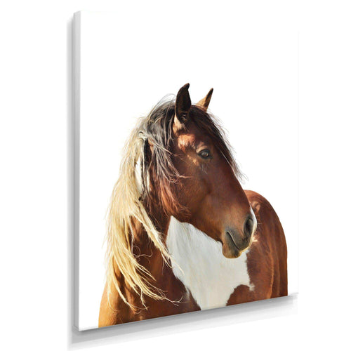 Large Brown Horse
