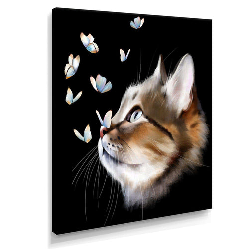 Cat with Butterflies on Black