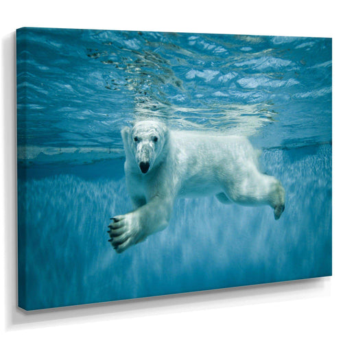 Polar Bear Swimming under Water