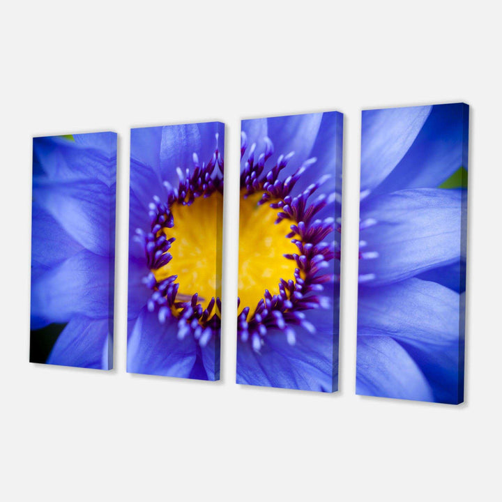 Blue Lotus Close up Watercolor Multi-Panels